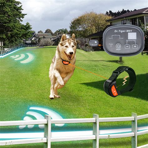 electric fence for dogs